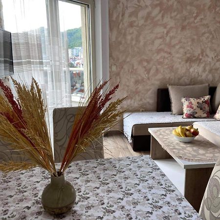 Apartment Dragan Budva Dış mekan fotoğraf